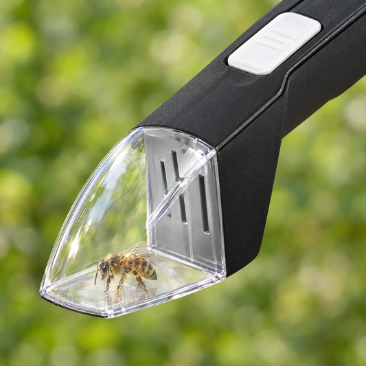 Bicho atrapado en la cúpula transparente de Caza Bichos