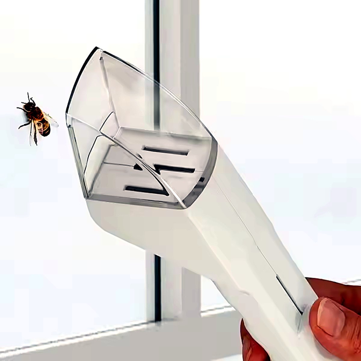 Caza Bichos blanco atrapando una abeja en la ventana